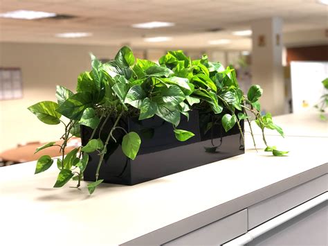 are fake plants weird